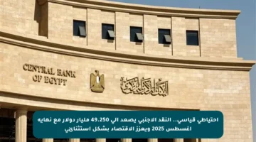احتياطي قياسي.. النقد الأجنبي يصعد إلى 49.250 مليار دولار مع نهاية أغسطس 2025 ويعزز الاقتصاد بشكل استثنائي